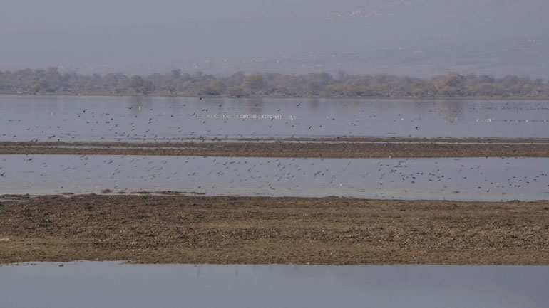 Σε οριακό σημείο η στάθμη της λίμνης Κερκίνης