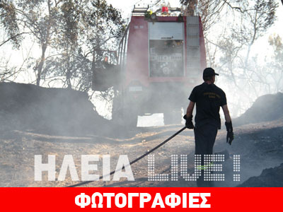 Υπό έλεγχο πυρκαγιά στην Ηλεία