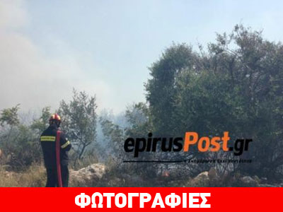 Φωτιά σε δάσος κοντά στο νοσοκομείο της Άρτας