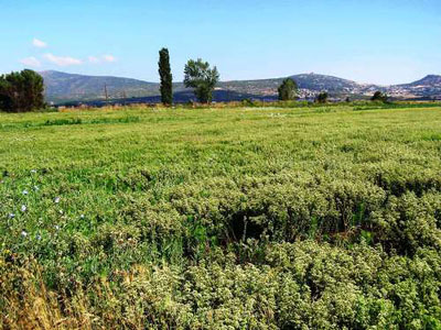 Κομισιόν: Νέοι κανονισμοί στη βιολογική παραγωγή