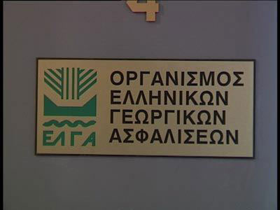Αποζημιώσεις 20,6 εκατ. ευρώ καταβάλλονται σήμερα στους αγρότες