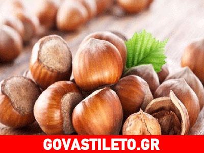 Φουντούκι: Ένας πολύτιμος ξηρός καρπός