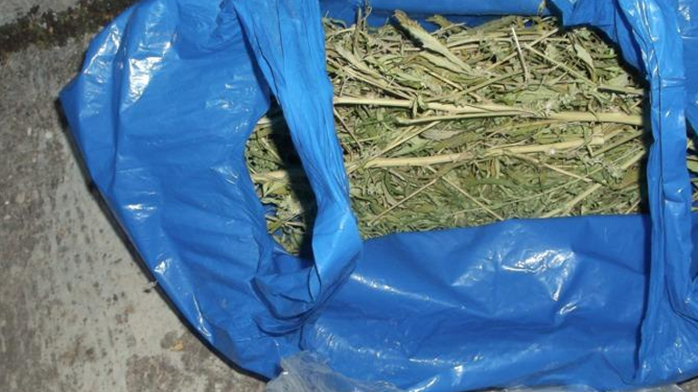 Αυτοσχέδιο αποξηραντήριο κάνναβης σε εγκαταλελειμμένη οικοδομή στην Εύβοια