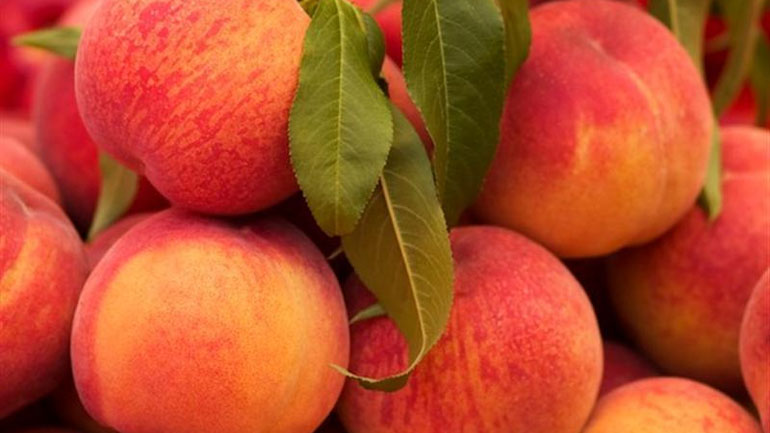 Βέροια: Σύσκεψη για το πρόγραμμα δωρεάν διανομής προϊόντων σε ευπαθείς ομάδες