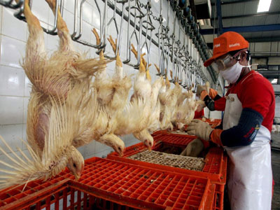 Ν. Κορέα: Ανεστάλησαν οι εισαγωγές πουλερικών από τις ΗΠΑ