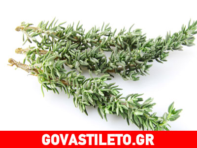Διώξτε την πιτυρίδα με θυμάρι!