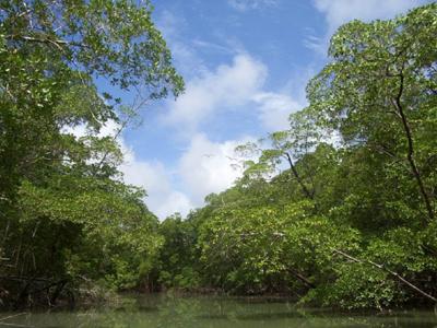 Αυξάνονται οι φωτιές στον Αμαζόνιο