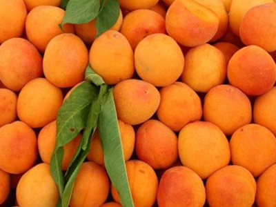 ΕΦΕΤ: Ανάκληση βερίκοκων με ίχνη ποντικοφάρμακου