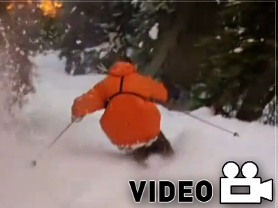 O ζωηρός Bushy