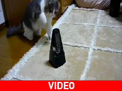 Τσάρλι – Μετρονόμος σημειώσατε… 2!