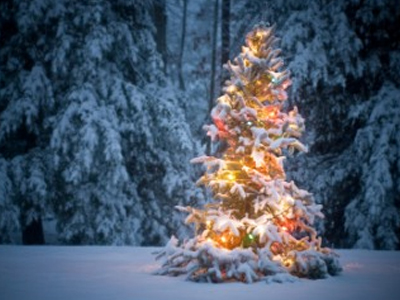 Τα Χριστούγεννα του μεγάλου διχασμού