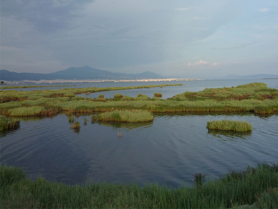 Παρέμβαση εισαγγελέα για την αποθήκη-όνειδος στο Δέλτα Αξιού