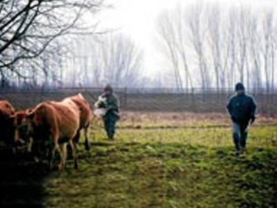 Διχασμένοι οι Τούρκοι για το φράκτη στον Έβρο