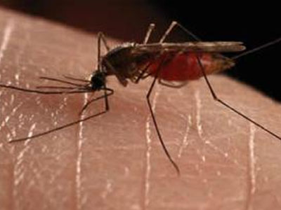 Περιστατικά εγκεφαλίτιδας στην Κεντρική Μακεδονία