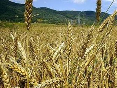 Στοπ στις εξαγωγές από τους αγρότες της Αργεντινής