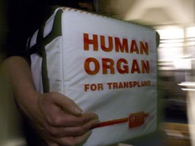 Στο Συμβούλιο της Ευρώπης για το εμπόριο οργάνων σε Αλβανία και Κόσοβο