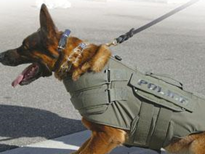 Τα σκυλιά εντόπισαν την ηρωίνη…