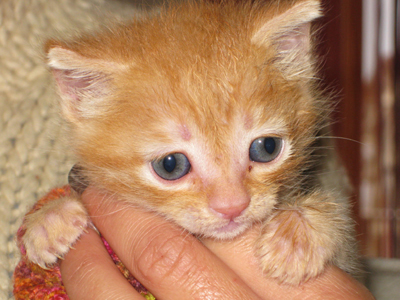 Χαρίζεται η πανέμορφη Λεόνη