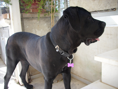 Χάσαμε τη Μαΐκα