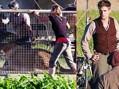 Λιονταρίνα συμπρωταγωνίστρια