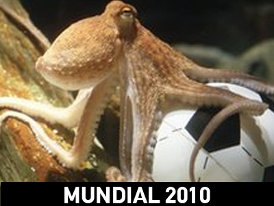 Παίζει με τις πιθανότητες ο Paul «Χταπόδης»