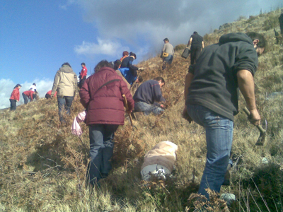 Εθελοντική αναδάσωση στον Ταΰγετο