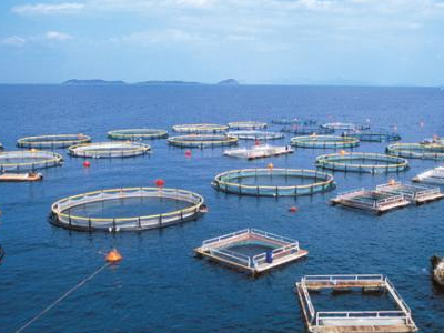 Έντονες αντιδράσεις για τις ιχθυοκαλλιέργειες στη Λαμία
