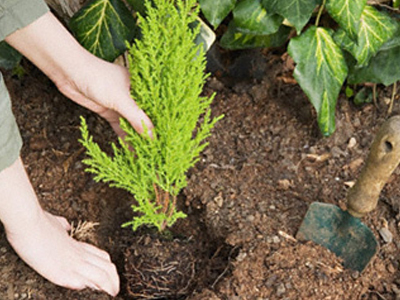Συνάντηση με οικολογικό πνεύμα