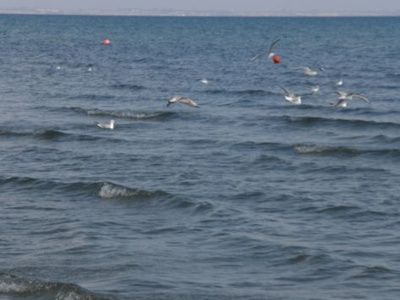 Πνιγμός 47χρονου στα Νέα Βρασνά Θεσσαλονίκης