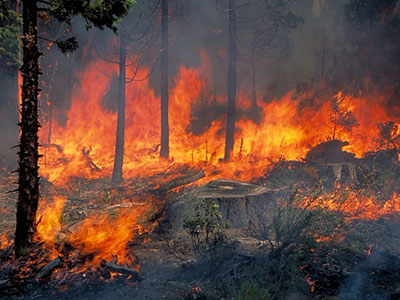 Φωτιά στο Σοφικό Κορινθίας