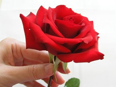 Λουλούδια για τις αγωνίστριες της καθημερινότητας