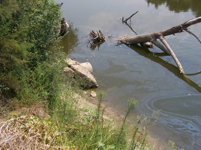 Θαλάσσια ρύπανση ανοικτά του Ρεθύμνου