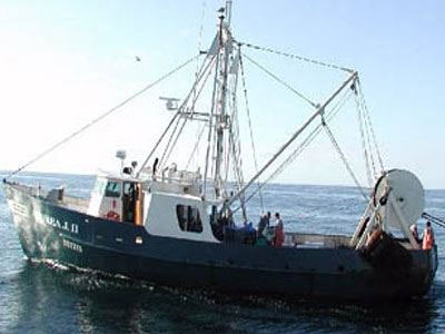 Υπεγράφη εγκύκλιος για την αλιεία με βιντζότρατα