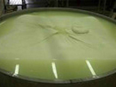 Τυρί για ρεκόρ Guiness!