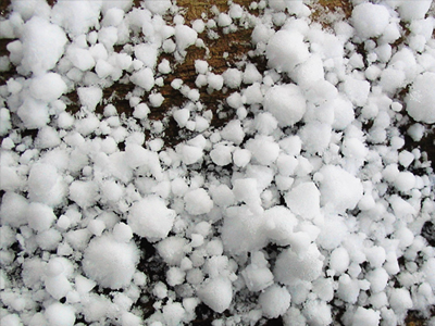 Καταστράφηκαν αγροτικές καλλιέργειες στο Αμύνταιο