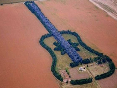 Το μουσικόφιλο… δάσος!