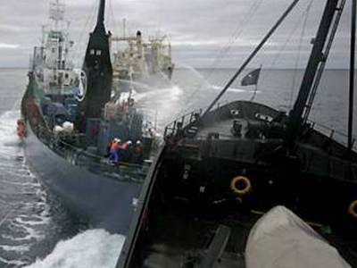 Σύγκρουση πλοίων στο λιμάνι της Πάτρας