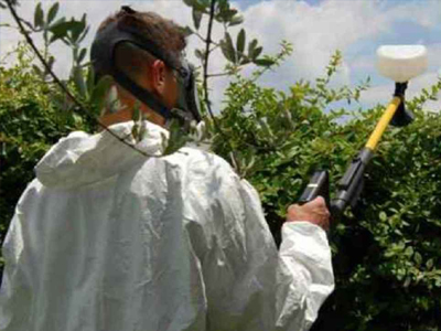 Στους ωκεανούς μας το DDT