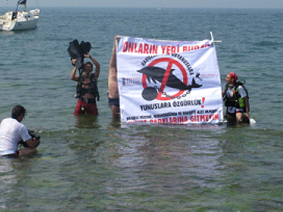 Ελληνοτουρκική συμμαχία για τα δελφίνια