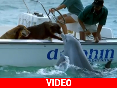 Άλματα χαράς ύστερα από ένα φιλί…