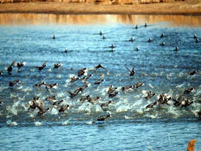 Εισαγγελική έρευνα για καταπάτηση εθνικού πάρκου