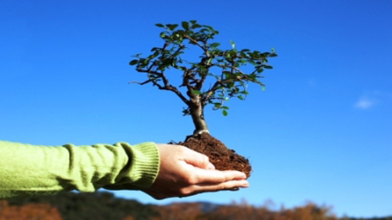 Εξορμήσεις πρασίνου στο Κερατσίνι