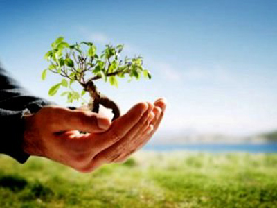 Δενδροφύτευση στο Άλσος Αγίου Φιλίππου