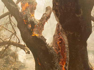 Στον Εισαγγελέα για τη δεύτερη φωτιά