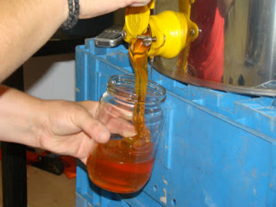 Άλυτο μυστήριο η εξαφάνιση 28 τόνων μελιού