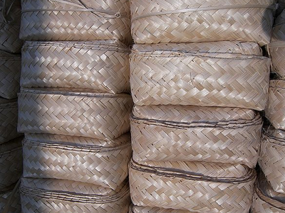 Στην Ελλάδα η «καρδιά» των ομογενών του Μόντρεαλ