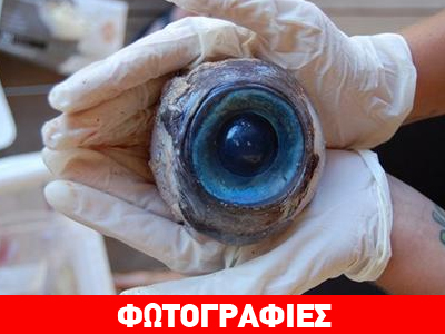 Μυστήριο με γιγαντιαίο μάτι που βρέθηκε στη Φλόριντα