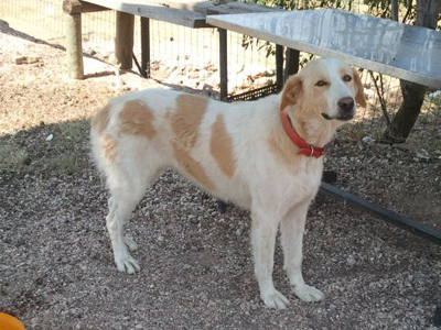 Ζει στον δρόμο