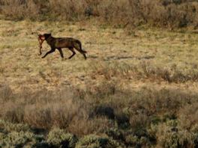 Γεράσιμος Τάντουλος (19.066 μόρια) και Φραγκίσκη Γιάννακα (19.108 μόρια)