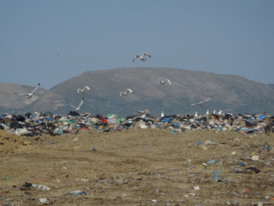 Στο Ευρωπαϊκό Δικαστήριο η Ελλάδα για το περιβαλλοντικό σκάνδαλο στη Ζάκυνθο